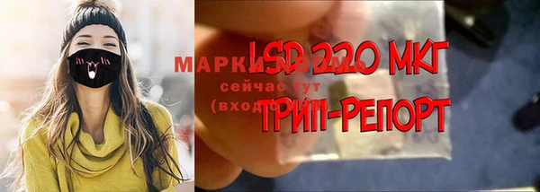 эйфоретик Баксан
