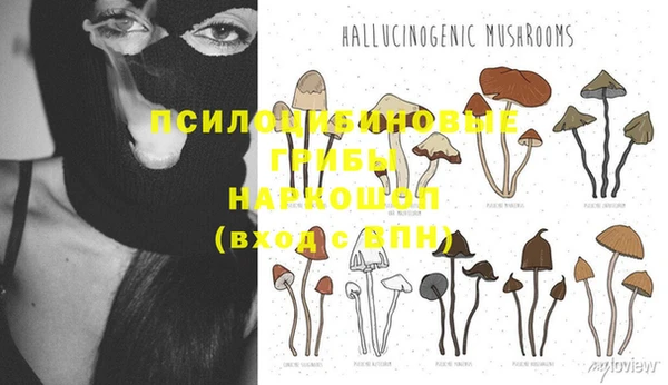 эйфоретик Баксан