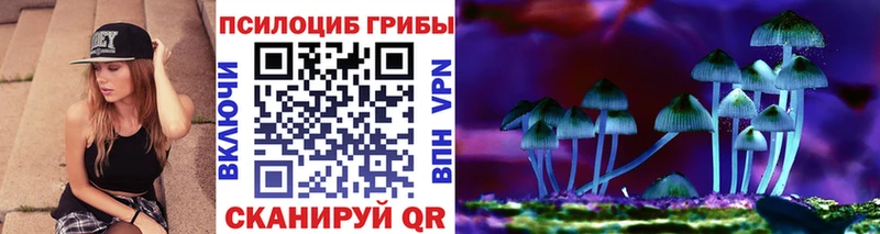 Псилоцибиновые грибы Psilocybe  Собинка 